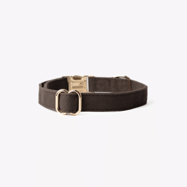 Furlou Halsband Brown - Bild 3