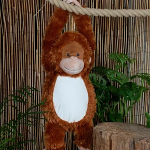 Zippie Orangutang