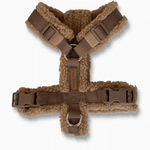 Puppy Bohème Teddy Sele