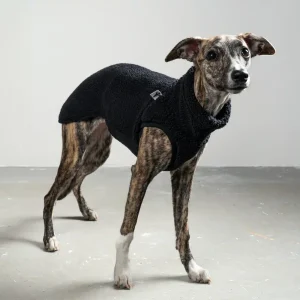 Karma Teddy Shirt Whippetmodell Svart