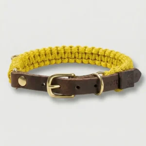 Molly and Stitch Touch of Leather Collar Mediterranean